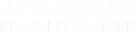 Telcor-Logo-Footer
